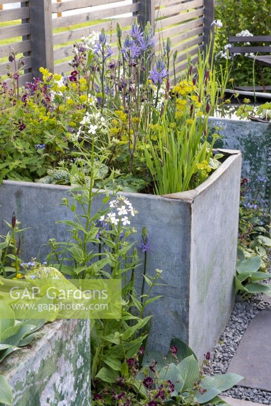 Planting in galvanised water tanks - Affordable Gardens, Task Garden, RHS Malvern Spring Festival 2022