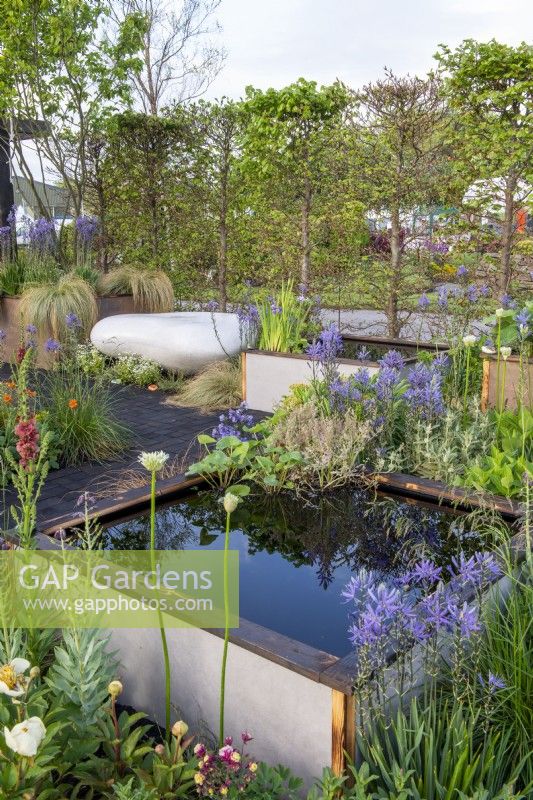 Raised pond surrounded by mixed planting with Camassia - Abigail's Footsteps, RHS Malvern Spring Festival 2022