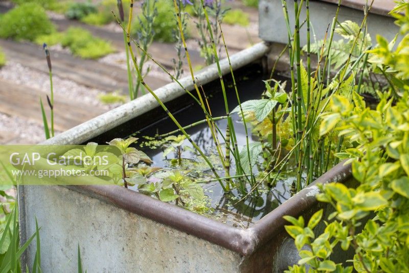 Galvanised water trough - Affordable Gardens, Task Garden, RHS Malvern Spring Festival 2022