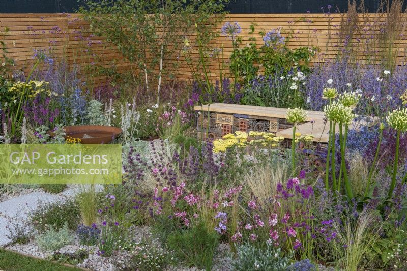 A sustainable, low maintenance gravel garden filled with drought tolerant plants to attract pollinators, such as salvia, achillea, sea pinks, echinops, fleabane, perovskia, agapanthus, drumstick allium, sea hollies and catmint.