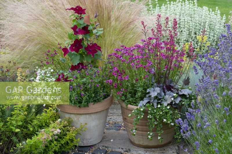 Left: Clematis 'Nubia', a compact clematis with roots shaded by lobelia and nemesia. Right: Heuchera 'Silver Gumdrop', coral bells, and Nemesia 'Framboise'.