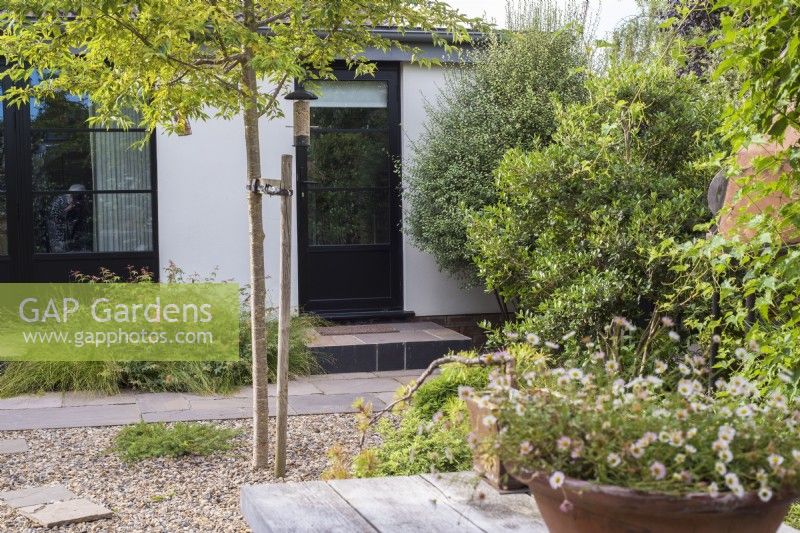View across small Oriental inspired 'green' garden to back door 