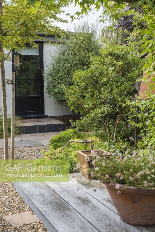 View across small Oriental inspired 'green' garden to back door  