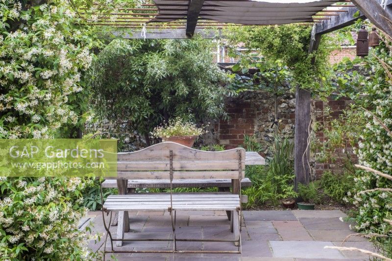 Wooden pergola with table and bench on paving with climbers -Trachelospermum jasminoides