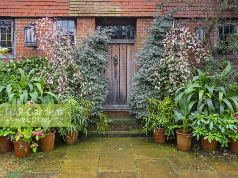The Old Vicarage East Ruston front door with garden containers Autumn Norfolk UK
