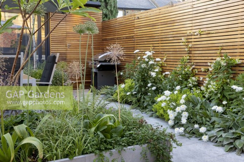 Suburban garden in summer with contemporary wooden fence