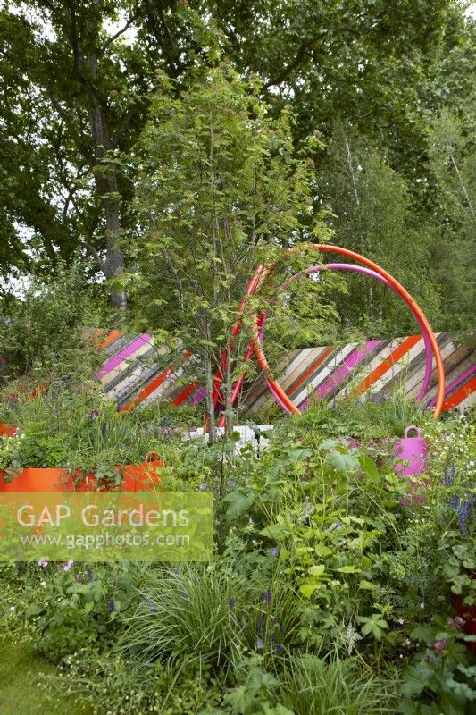 The St. Mungo's Putting Down Roots Garden. Designers: Cityscapes -Darryl Moore and Adolfo Harrison- RHS Chelsea Flower Show 2022. Silver Medal. A design for a miniature urban park using recycled materials. Bright painted planters and fencing contrast naturalistic soft planting. Summer. May.