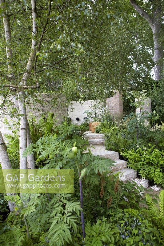 The Mind Garden. Designer: Andy Sturgeon. Sculptural walls and steps dividing areas of the garden with soft mixed planting emphasising foliage textures. RHS Chelsea Flower Show 2022. Gold Medal.