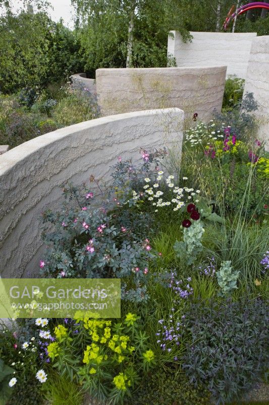 The Mind Garden. Designer: Andy Sturgeon. Sculptural walls dividing areas of the garden. With soft mixed planting of grasses, poppies, euphorbias and rose. RHS Chelsea Flower Show 2022. Gold Medal.