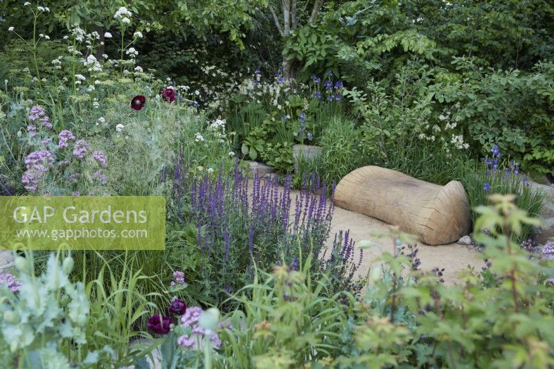 The Place2Be Securing Tomorrow Garden. Dseigner: Jamie Butterworth. Colourful woodland style planting with oak seat. Plants include Valerian, Salvia, Iris and ornamental grasses. RHS Chelsea Flower Show 2022. Gold Medal.