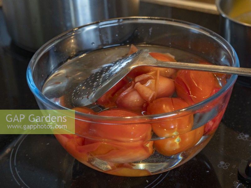 Ripe Roma tomatoes in cold water with skins peeling
