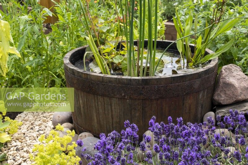 Miniature pond in a wooden half barrel with aquatic plants stood on gravel and surrounded by plants - BBC Gardeners' World Live, Birmingham June 2022 - 'The Poetry Pharmacy Physic Garden', Beautiful Borders - designers Liz Colebrook, Esther Cooper-Wood