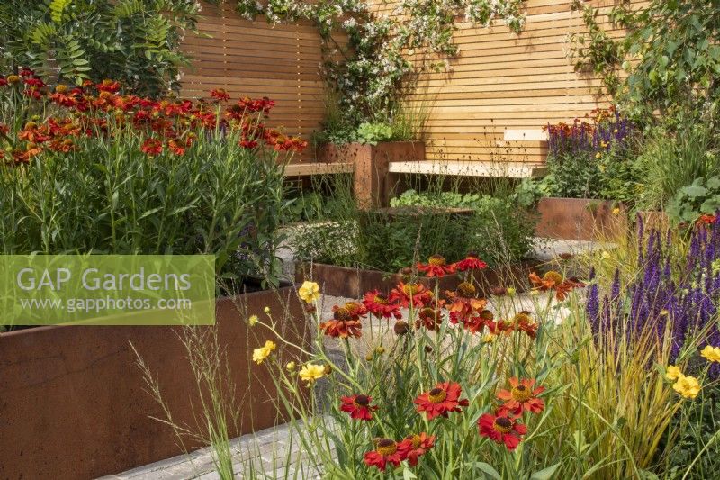Rusted steel planters filled with perennials with benches, wooden fence and clay paver and gravel paths - RHS Hampton Court Palace Garden Festival, London, July 2022 - 'Lunch Break Garden', Best in Show Get Started Gardens - Designer Inspired Earth Design