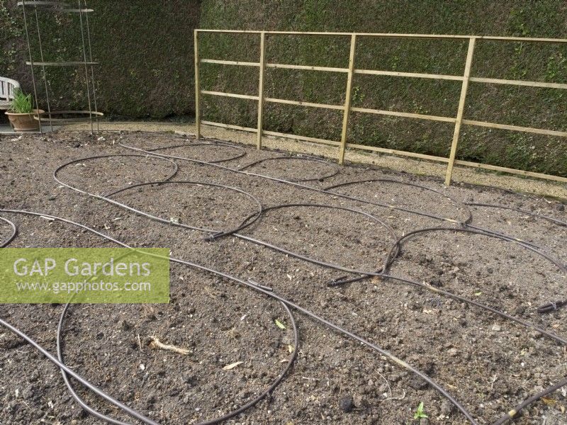 Irrigation pipes on vegetable bed
