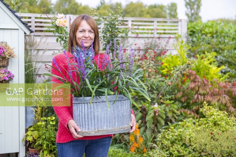 Woman carrying metal container planted with Liriope 'Moneymaker'