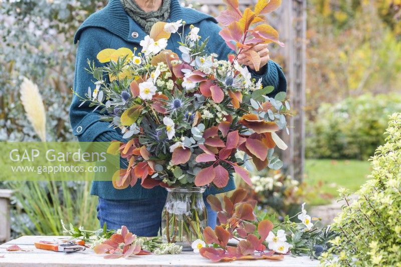 Woman placing Cotinus 'Grace' branch in vase arrangement