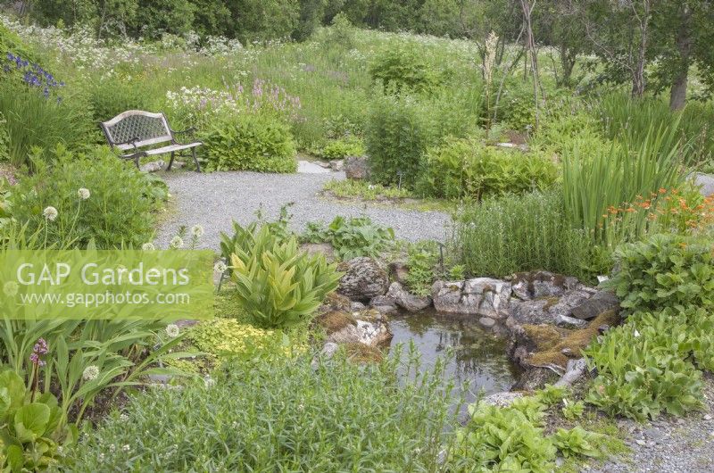Traditional northern-Norwegian garden with wooden garden-seat; small pond; meadow area. Midummer.  Perennials. 

Allium, Bergenia, Primula, Persicaria, Aconitum, Filipendula ulmaria 'Flore Pleno', Hosta sieboldiana.