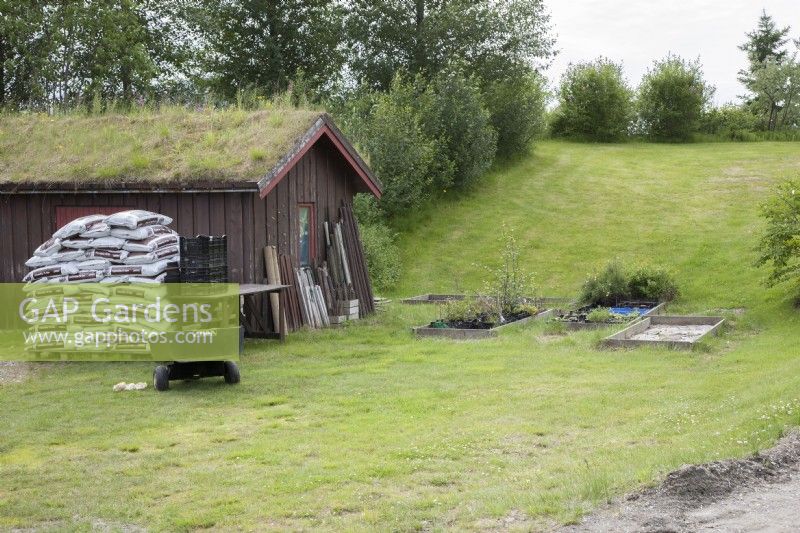 Grass-roofed, wooden shed near entrance to Tromso Botanic Garden. Small potted-plants in raised bed set in grass. Garden tools and bags of compost. Midsummer.