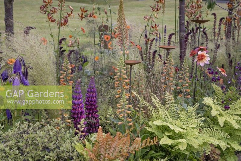 Pretty Wild Beautiful Border at BBC Gardener's World Live 2022