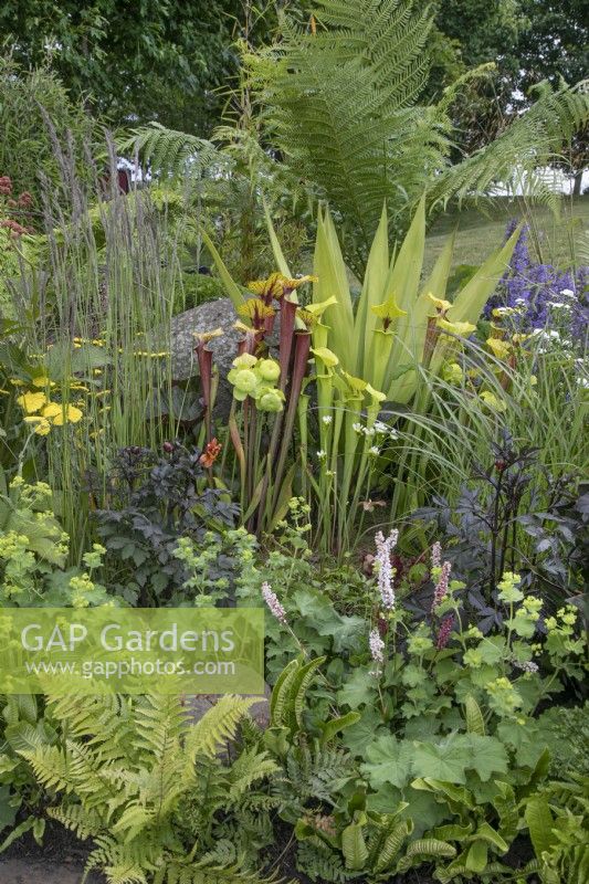 Equatorial Suburbia Beautiful Border at BBC Gardener's World Live 2022