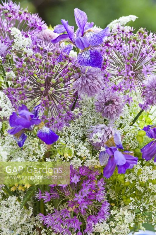 Purple - white flower bouquet containing iris, allium, cow parsley and chives.