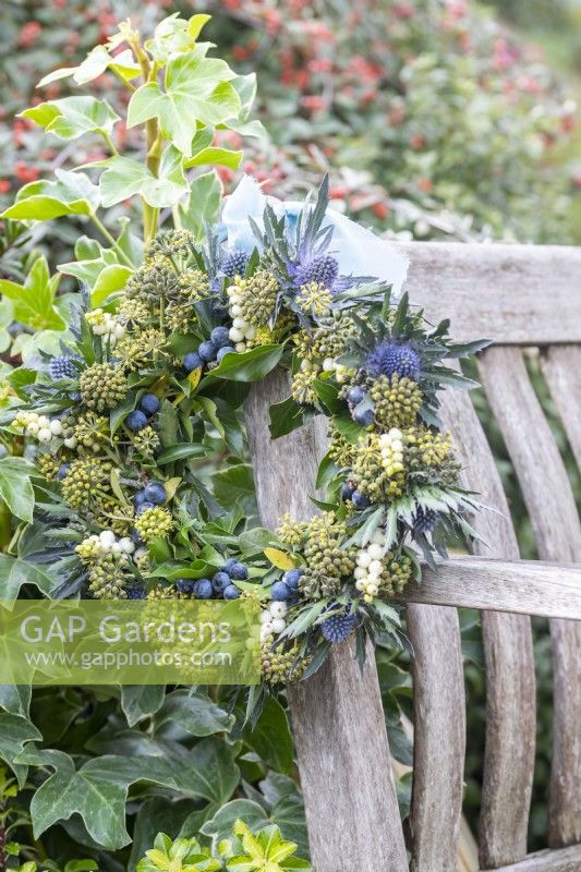 Ivy, Symphoricarpos and Eryngium wreath hanging at the end of a wooden bench
