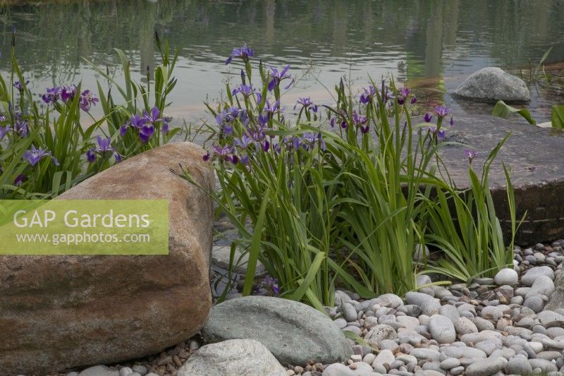Natural swim lane in The Living Landscape - A Nostalgic Condition show garden at BBC Gardener's World Live 2022