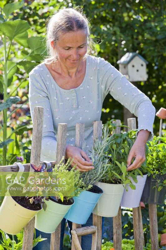 Woman picking herbs grown in hanging pots.