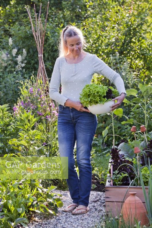 Woman carrying bowl of harvested lettuces.