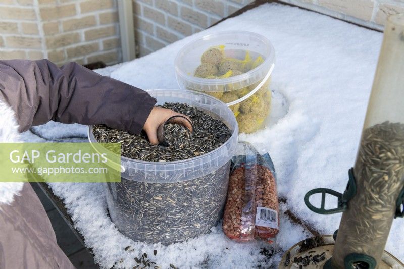 Child preparing to fill bird feeder with sunflower seeds on snowy day in winter
