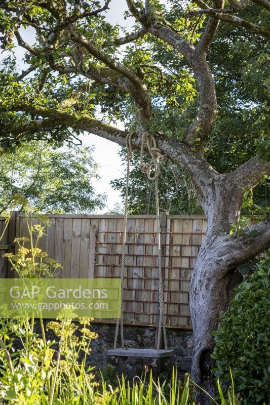 Rope swing hanging from apple tree in summery cottage garden