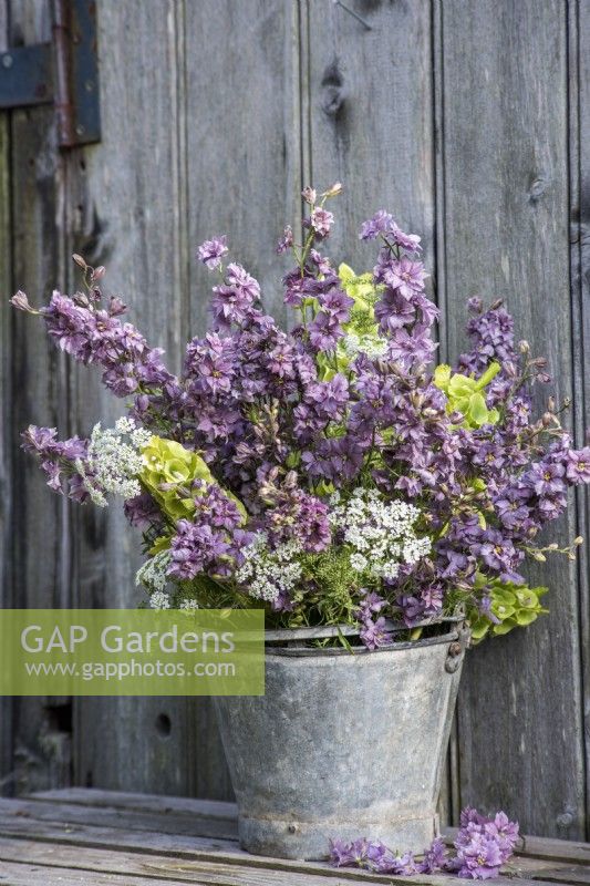 Mixed summer bouquet displayed in metal bucket - Ammi, Larkspur and Moluccella laevis