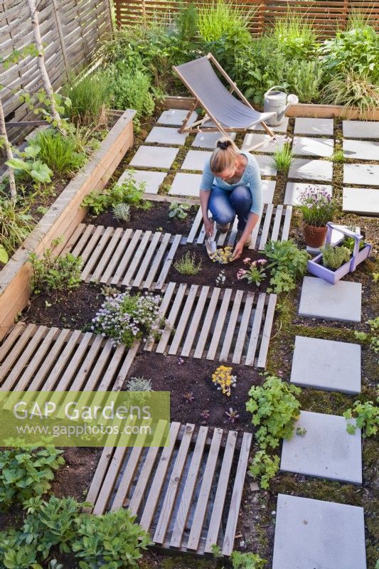 Woman creating drought tolerant flowerbed on the roof of garage. The flower bed is separated by slats, which are decorative and at the same time serve as a path. Planting Sedum spathulifolium - Stonecrop.