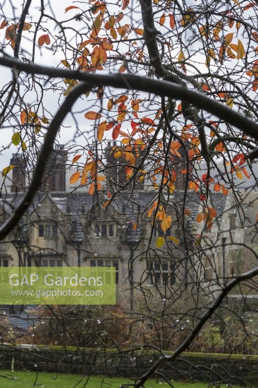 Gravetye Manor, in autumn.