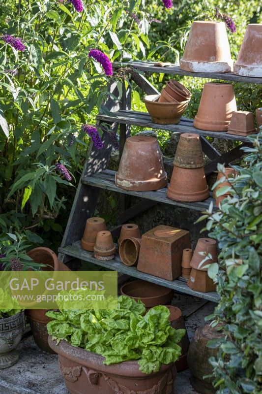 Terracotta pots stacked on wooden shelves in garden