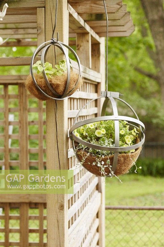 Hanging planters made from wood embroidery hoops on patio