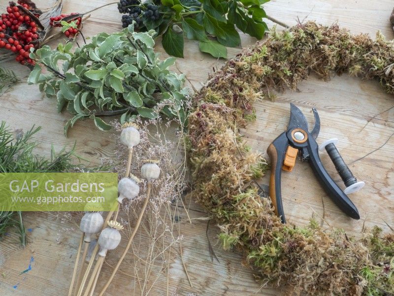 Ingredients of fresh foliage and berries for adding to moss covered Christmas wreath