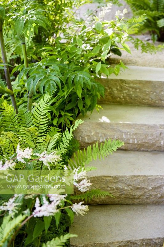 Purbeck stone steps next to shade loving plants including Maianthemum oleraceum. The Mind Garden, Designer: Andy Sturgeon, RHS Chelsea Flower Show 2022- Gold Medal