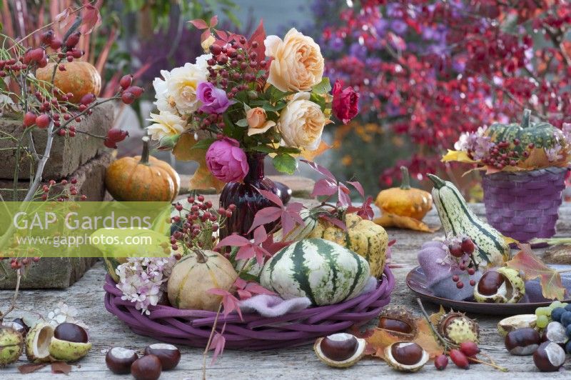 Bouquet of roses and rose hips between pumpkins, hydrangea blossom, wild vine tendril, and chestnuts as decoration
