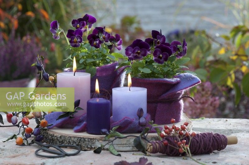 Wooden platform with candles and horned violet sorbet 'Phantom' in felt covering