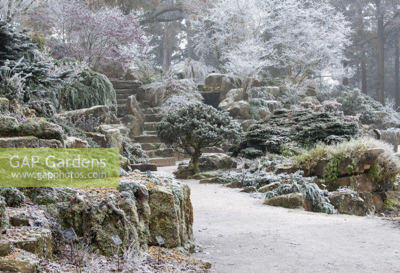 The Rockery in the frost at the RHS Wisley Gardens