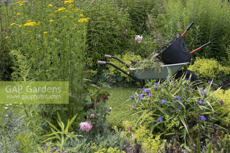 Wheelbarrow with tools in at Winterbourne Botanic Garden, July