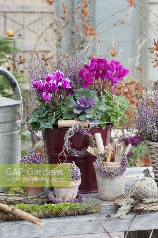Autumn arrangement with budding heather, cyclamen, ornamental cabbage, heather wreath and heather ball, pot with stick labels