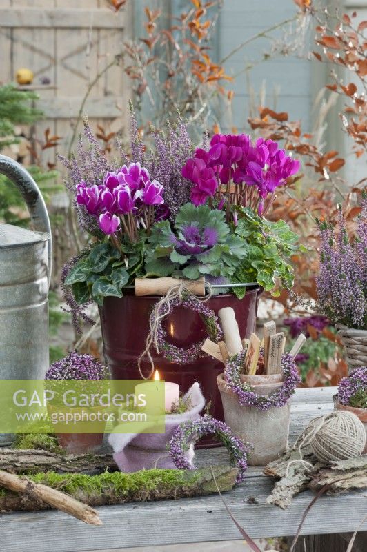 Autumn arrangement with budding heather, cyclamen, ornamental cabbage, heather wreath, heather ball and candle in felt, pot with labels