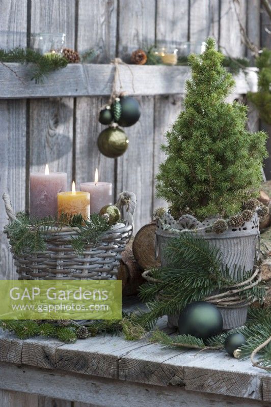 Christmas decorations with white spruce, candles in a basket, conifer branches, and Christmas tree decorations