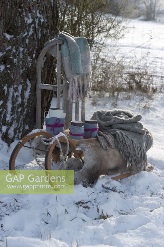 A Wooden sled with hot drinks, blankets, and fur in the snow