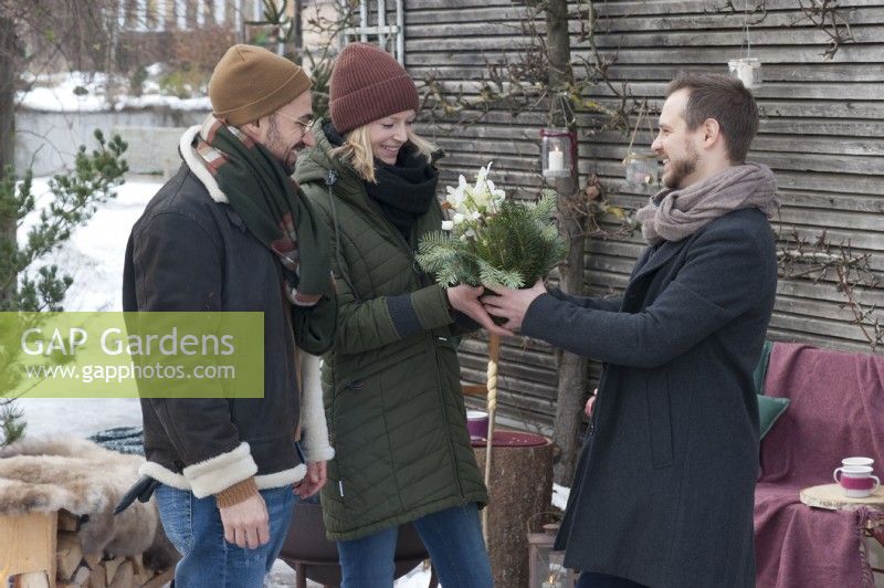 Man presents a woman with Christmas rose wrapped in fir branches