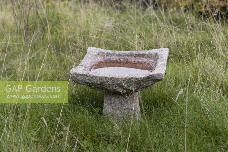 A low weathered stone bird bath sits on an overgrown lawn. Autumn.