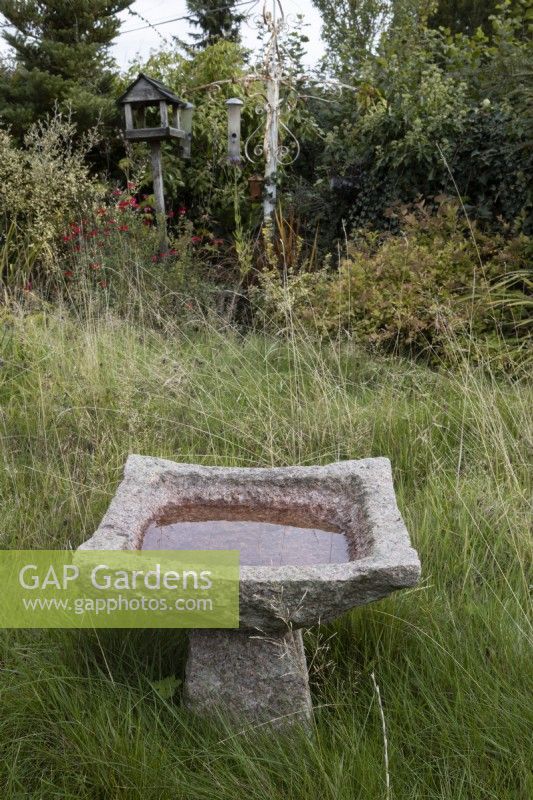 A low and weathered, stone bird bath sits on an overgrown lawn.   Autumn.