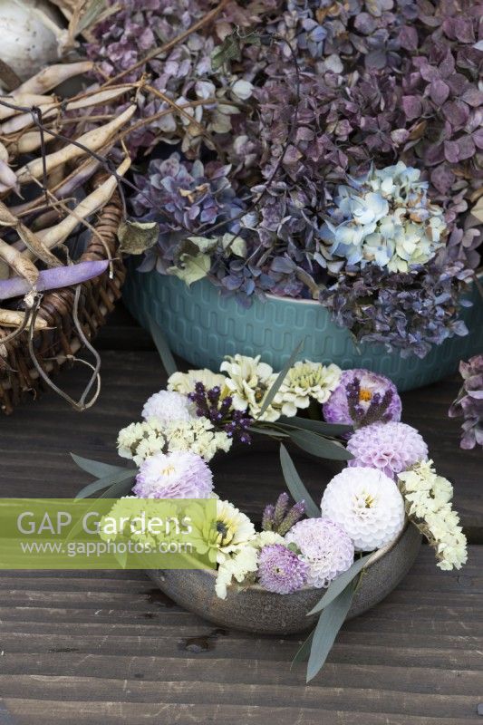 A hand made pottery posy ring sat on a wooden table top with dried hydrangea flower heads and dried purple french beans in the background. The posy ring is filled with dahlias, zinnias, eucalyptus, verbena and statice. Foam free arrangement. Autumn.